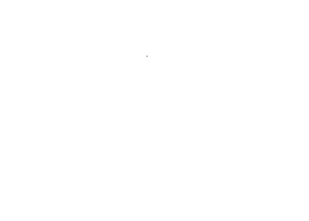Family Photographer, Verily Photography Logo with am image of a bird atop